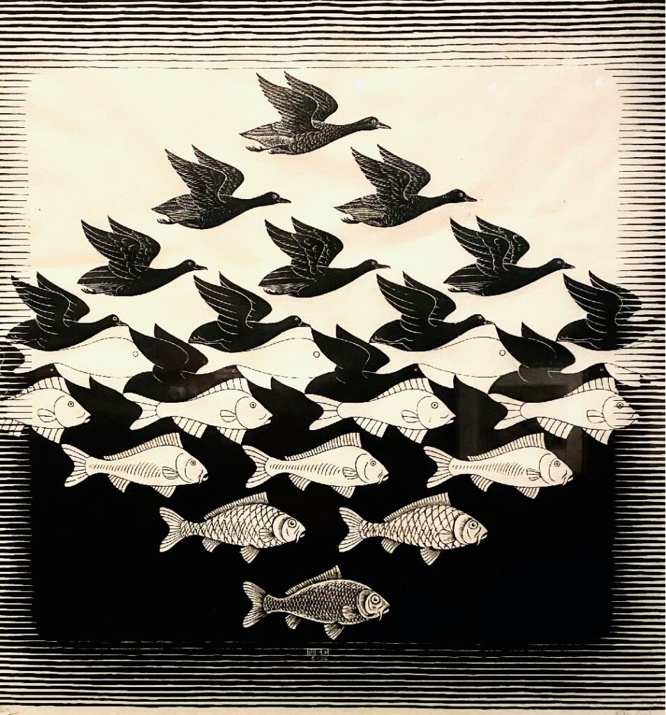 mostra Escher Roma_metamorfosi