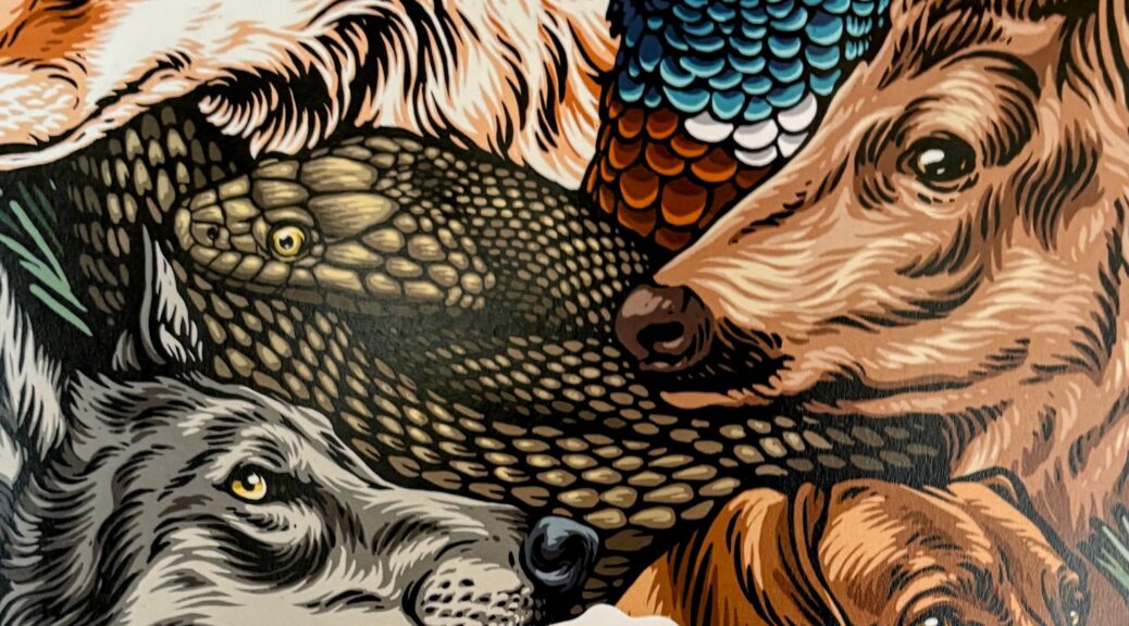 Mostra Lucamaleonte street art